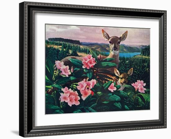 Doe and Fawn-Stan Galli-Framed Giclee Print