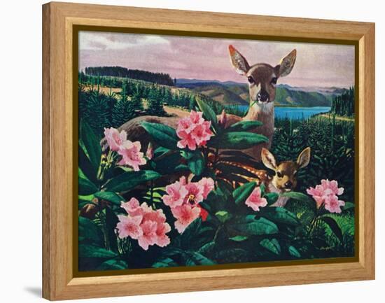 Doe and Fawn-Stan Galli-Framed Premier Image Canvas
