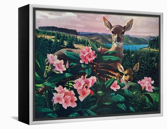 Doe and Fawn-Stan Galli-Framed Premier Image Canvas