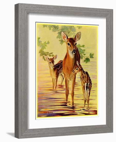 "Doe and Fawns,"April 29, 1933-Jack Murray-Framed Giclee Print