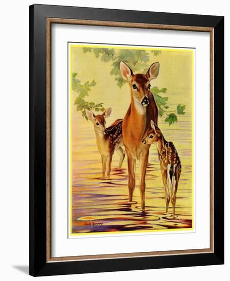 "Doe and Fawns,"April 29, 1933-Jack Murray-Framed Giclee Print