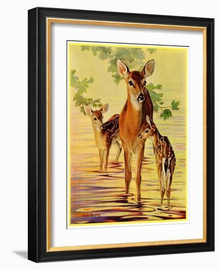 "Doe and Fawns,"April 29, 1933-Jack Murray-Framed Giclee Print