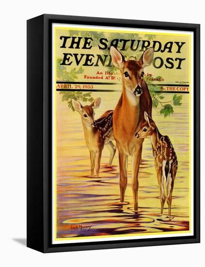 "Doe and Fawns," Saturday Evening Post Cover, April 29, 1933-Jack Murray-Framed Premier Image Canvas
