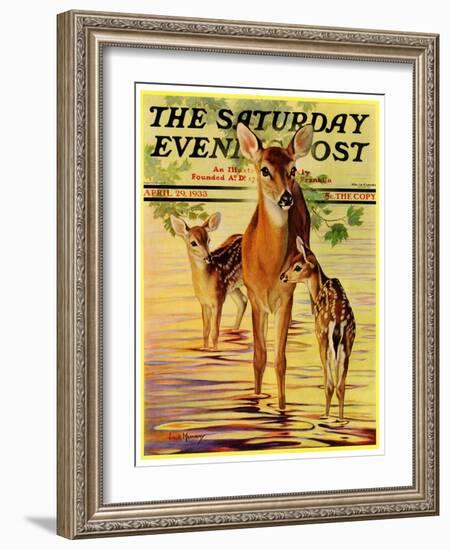 "Doe and Fawns," Saturday Evening Post Cover, April 29, 1933-Jack Murray-Framed Giclee Print