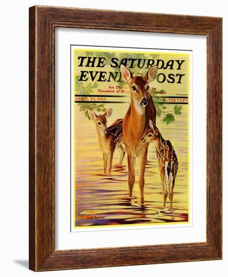 "Doe and Fawns," Saturday Evening Post Cover, April 29, 1933-Jack Murray-Framed Giclee Print