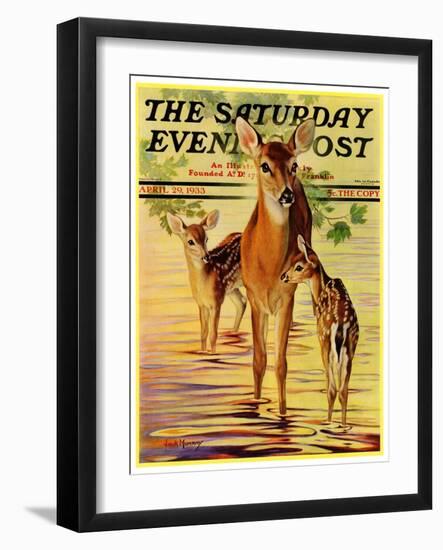 "Doe and Fawns," Saturday Evening Post Cover, April 29, 1933-Jack Murray-Framed Giclee Print