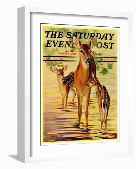 "Doe and Fawns," Saturday Evening Post Cover, April 29, 1933-Jack Murray-Framed Giclee Print