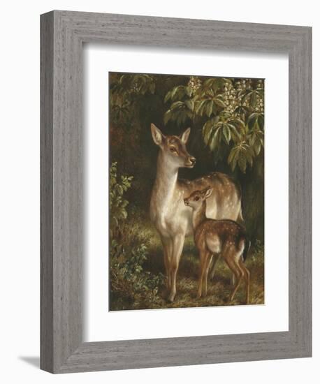 Doe with Her Fawn-Samuel John Carter-Framed Giclee Print