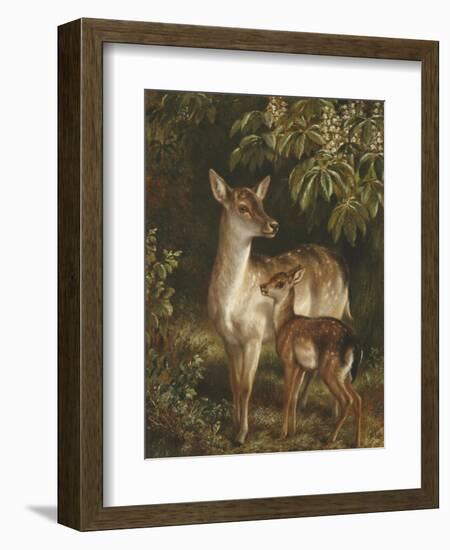 Doe with Her Fawn-Samuel John Carter-Framed Giclee Print