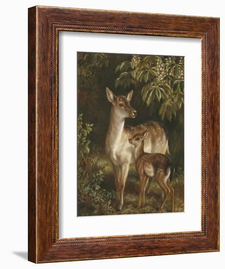 Doe with Her Fawn-Samuel John Carter-Framed Giclee Print