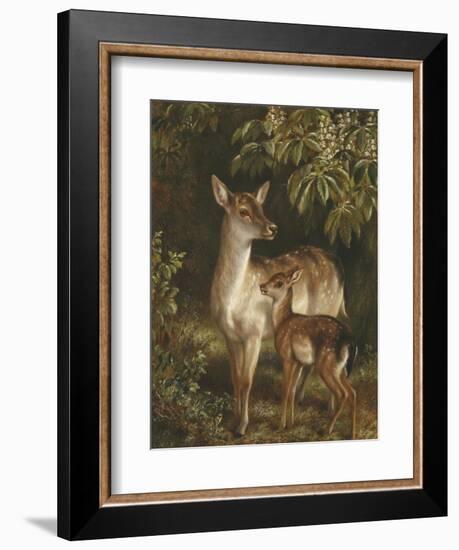 Doe with Her Fawn-Samuel John Carter-Framed Giclee Print