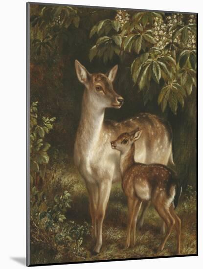 Doe with Her Fawn-Samuel John Carter-Mounted Giclee Print