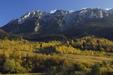 Beech Forest in Autumn, Piatra Craiului National Park, Southern Carpathian Mountains, Romania-Dörr-Photographic Print