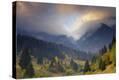 Stretched Canvas Print