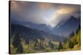 Stretched Canvas Print