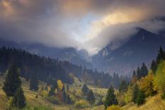 Rural Landscape with Morning Mist Near Zarnesti, Transylvania, Carpathian Mountains, Romania-Dörr-Photographic Print