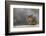 Does Anyone Have a Tissue?-Darlene Hewson-Framed Photographic Print