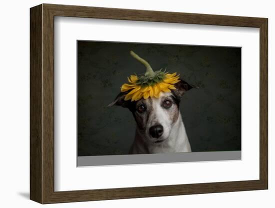Does She Realize She Looks Like a Sunflower.-Heike Willers-Framed Photographic Print
