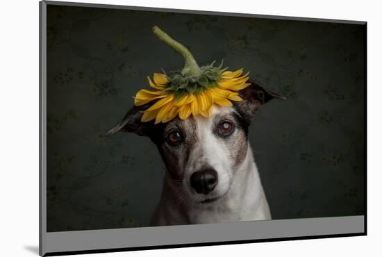 Does She Realize She Looks Like a Sunflower.-Heike Willers-Mounted Photographic Print