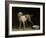 Dog, 1751-Jean-Baptiste Oudry-Framed Giclee Print