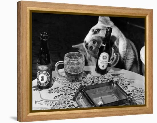 Dog Acts as a Waiter 1965-Staff-Framed Premier Image Canvas