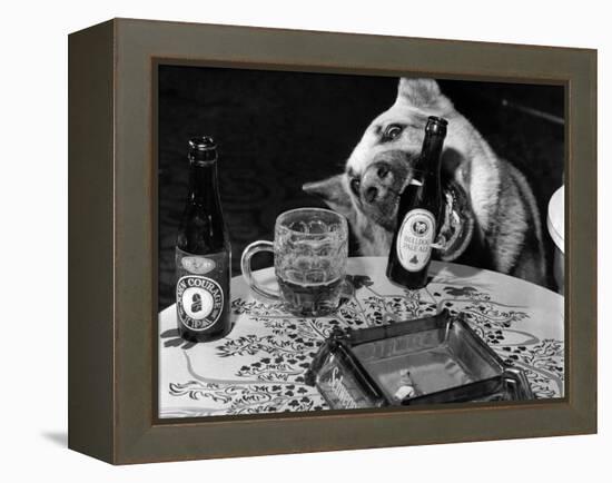 Dog Acts as a Waiter 1965-Staff-Framed Premier Image Canvas