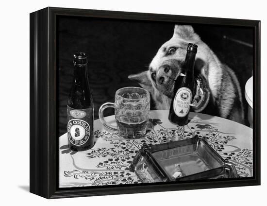 Dog Acts as a Waiter 1965-Staff-Framed Premier Image Canvas