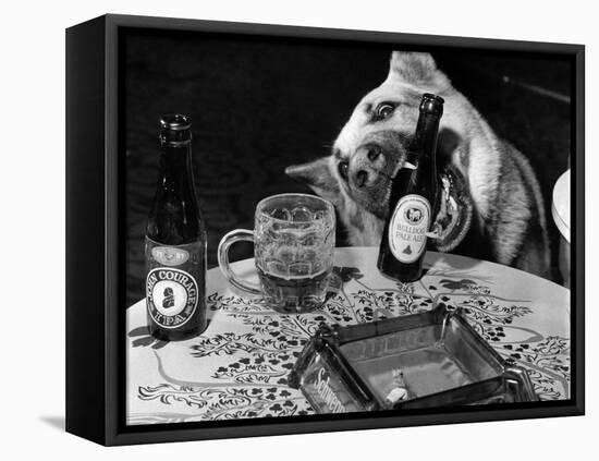 Dog Acts as a Waiter 1965-Staff-Framed Premier Image Canvas