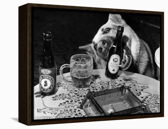 Dog Acts as a Waiter 1965-Staff-Framed Premier Image Canvas