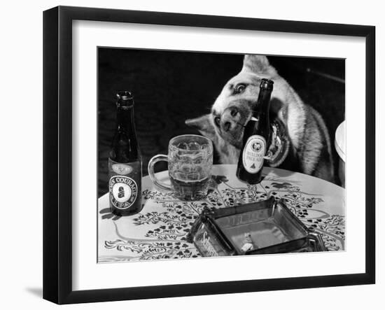 Dog Acts as a Waiter 1965-Staff-Framed Premium Photographic Print