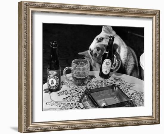 Dog Acts as a Waiter 1965-Staff-Framed Photographic Print