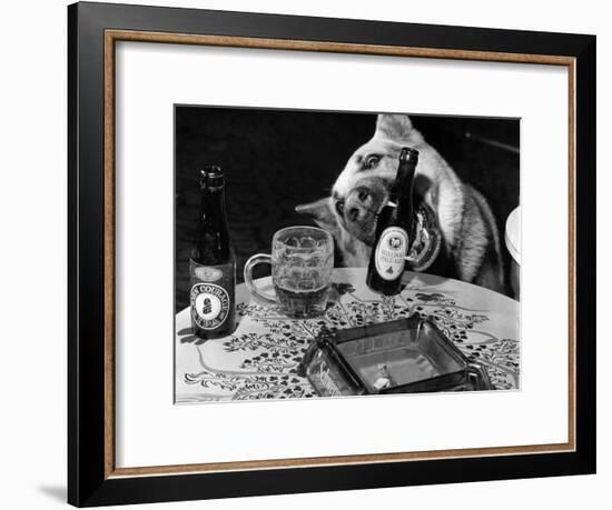 Dog Acts as a Waiter 1965-Staff-Framed Photographic Print