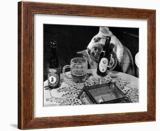 Dog Acts as a Waiter 1965-Staff-Framed Photographic Print