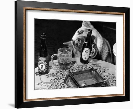 Dog Acts as a Waiter 1965-Staff-Framed Photographic Print