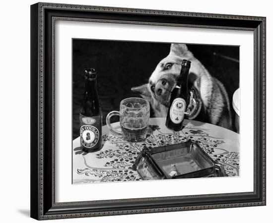 Dog Acts as a Waiter 1965-Staff-Framed Photographic Print