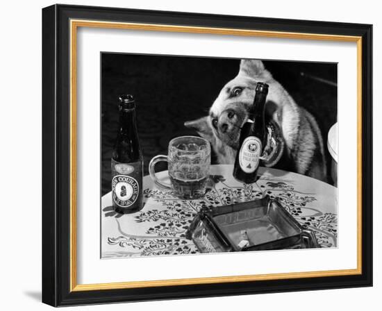 Dog Acts as a Waiter 1965-Staff-Framed Photographic Print