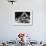 Dog Acts as a Waiter 1965-Staff-Framed Photographic Print displayed on a wall