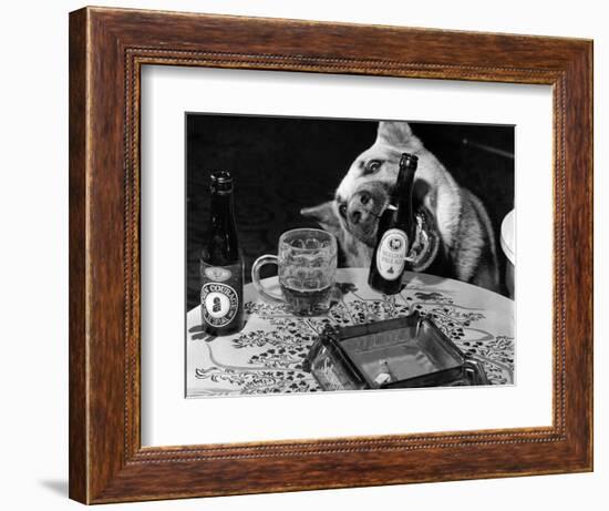 Dog Acts as a Waiter 1965-Staff-Framed Photographic Print