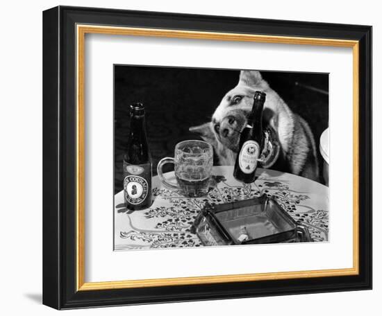 Dog Acts as a Waiter 1965-Staff-Framed Photographic Print