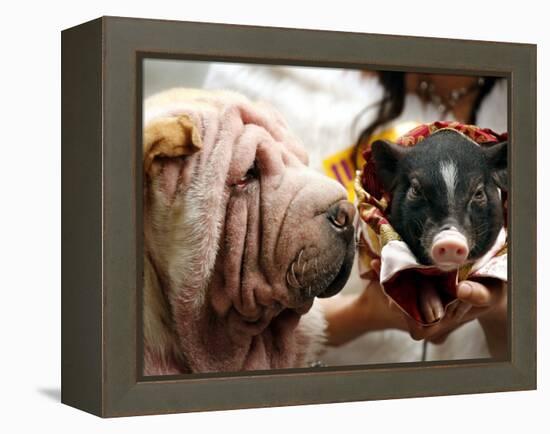 Dog and a Pig are Displayed During a Promotional Event at a Hong Kong Shopping Mall-null-Framed Premier Image Canvas