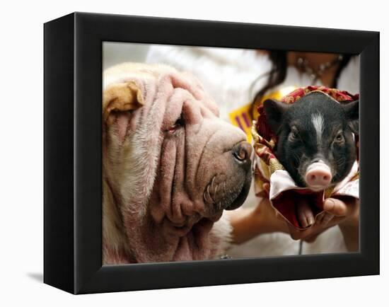 Dog and a Pig are Displayed During a Promotional Event at a Hong Kong Shopping Mall-null-Framed Premier Image Canvas