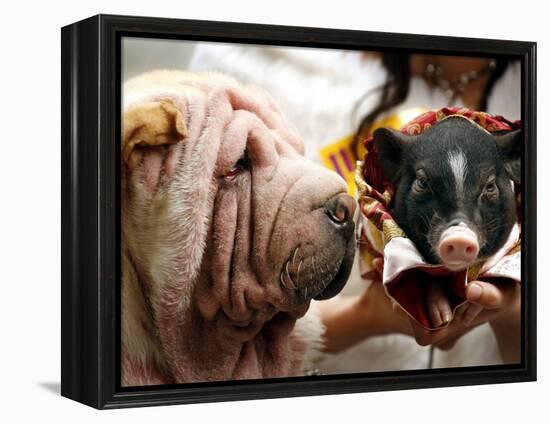 Dog and a Pig are Displayed During a Promotional Event at a Hong Kong Shopping Mall-null-Framed Premier Image Canvas