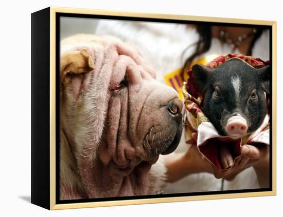 Dog and a Pig are Displayed During a Promotional Event at a Hong Kong Shopping Mall-null-Framed Premier Image Canvas