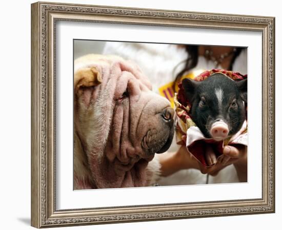 Dog and a Pig are Displayed During a Promotional Event at a Hong Kong Shopping Mall-null-Framed Photographic Print