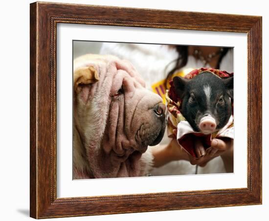 Dog and a Pig are Displayed During a Promotional Event at a Hong Kong Shopping Mall-null-Framed Photographic Print