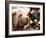 Dog and a Pig are Displayed During a Promotional Event at a Hong Kong Shopping Mall-null-Framed Photographic Print