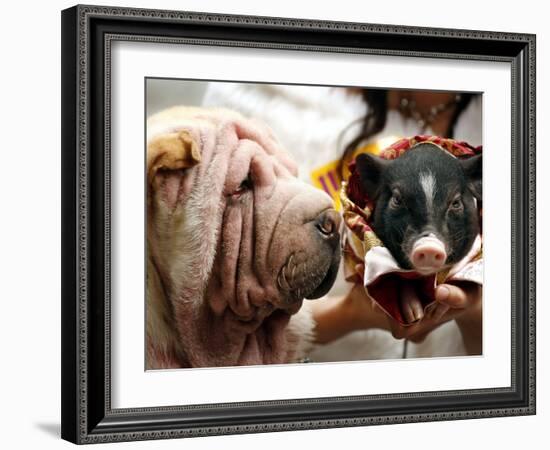 Dog and a Pig are Displayed During a Promotional Event at a Hong Kong Shopping Mall-null-Framed Photographic Print