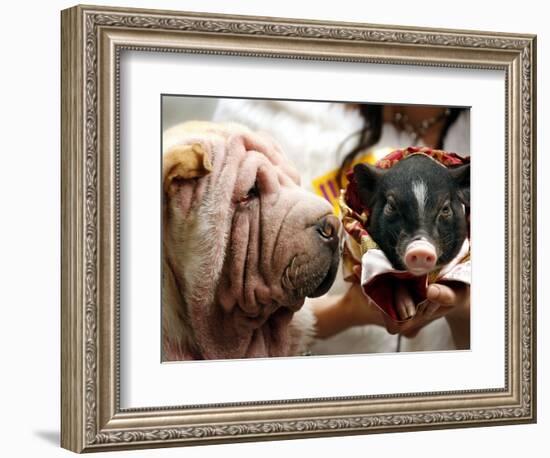 Dog and a Pig are Displayed During a Promotional Event at a Hong Kong Shopping Mall-null-Framed Photographic Print