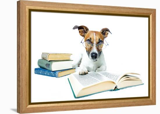 Dog and Books-Javier Brosch-Framed Premier Image Canvas