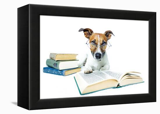 Dog and Books-Javier Brosch-Framed Premier Image Canvas